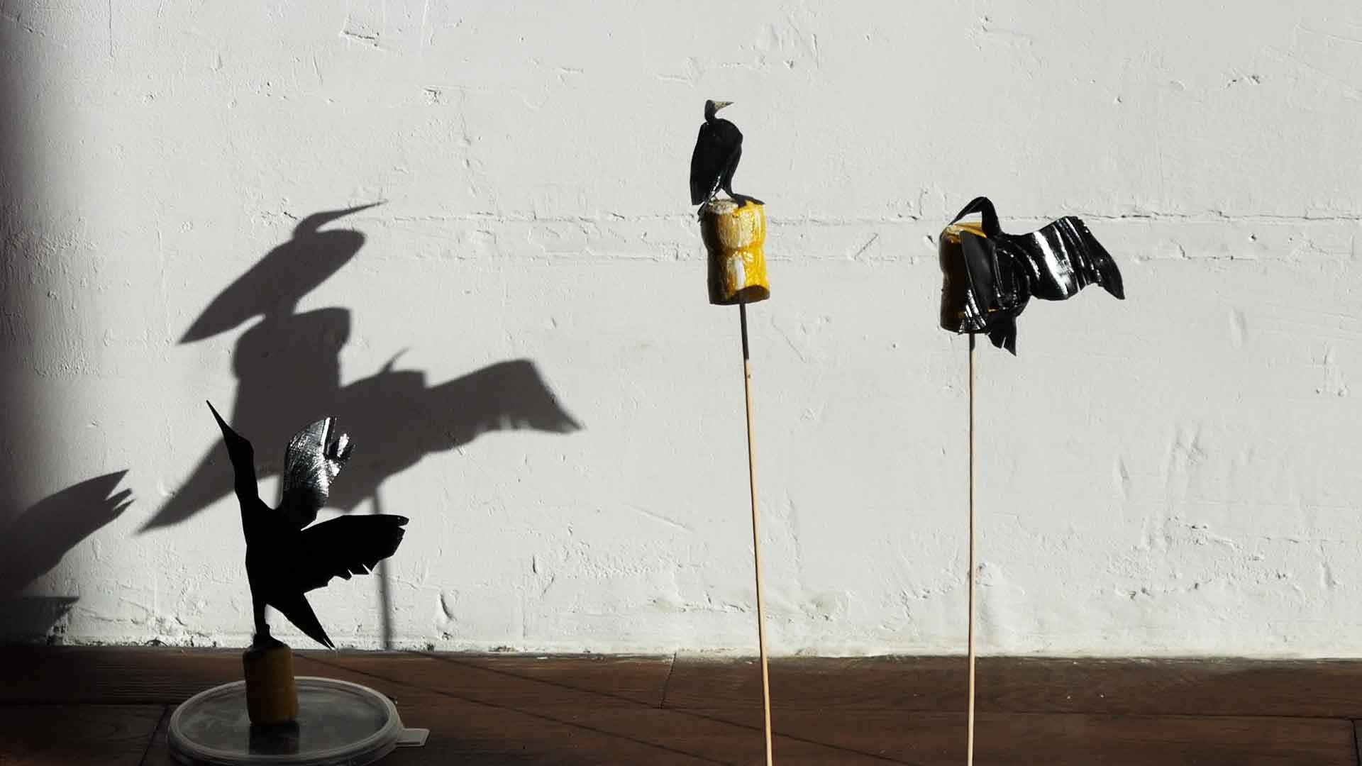 Les volatiles / Birds